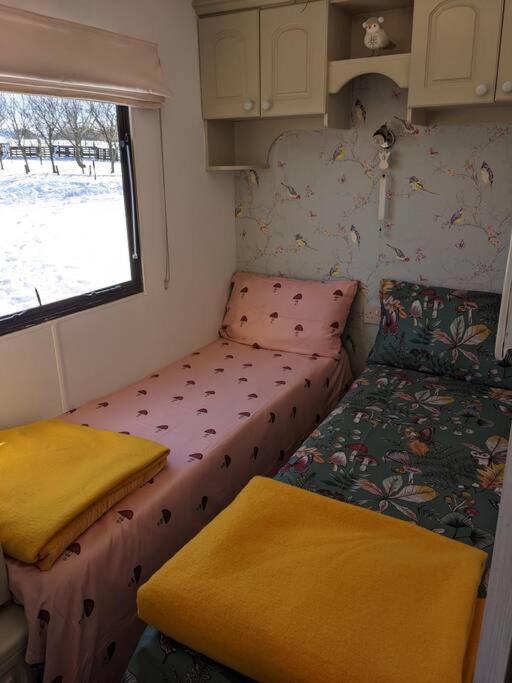 Ferny Roost Cabin. ريكسهام المظهر الخارجي الصورة
